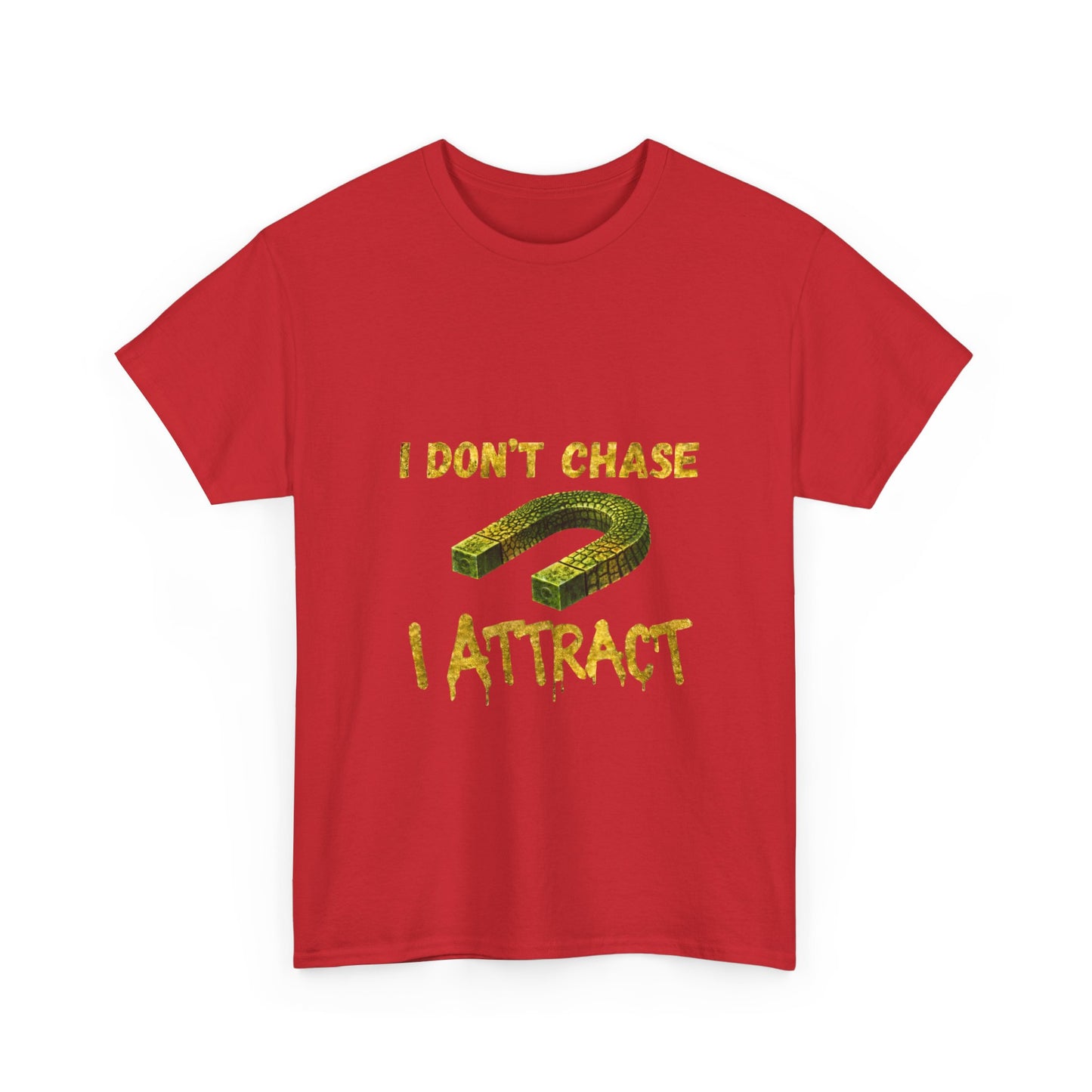 I Don’t Chase I Attract T-Shirt — Law of Attraction Graphic Tee