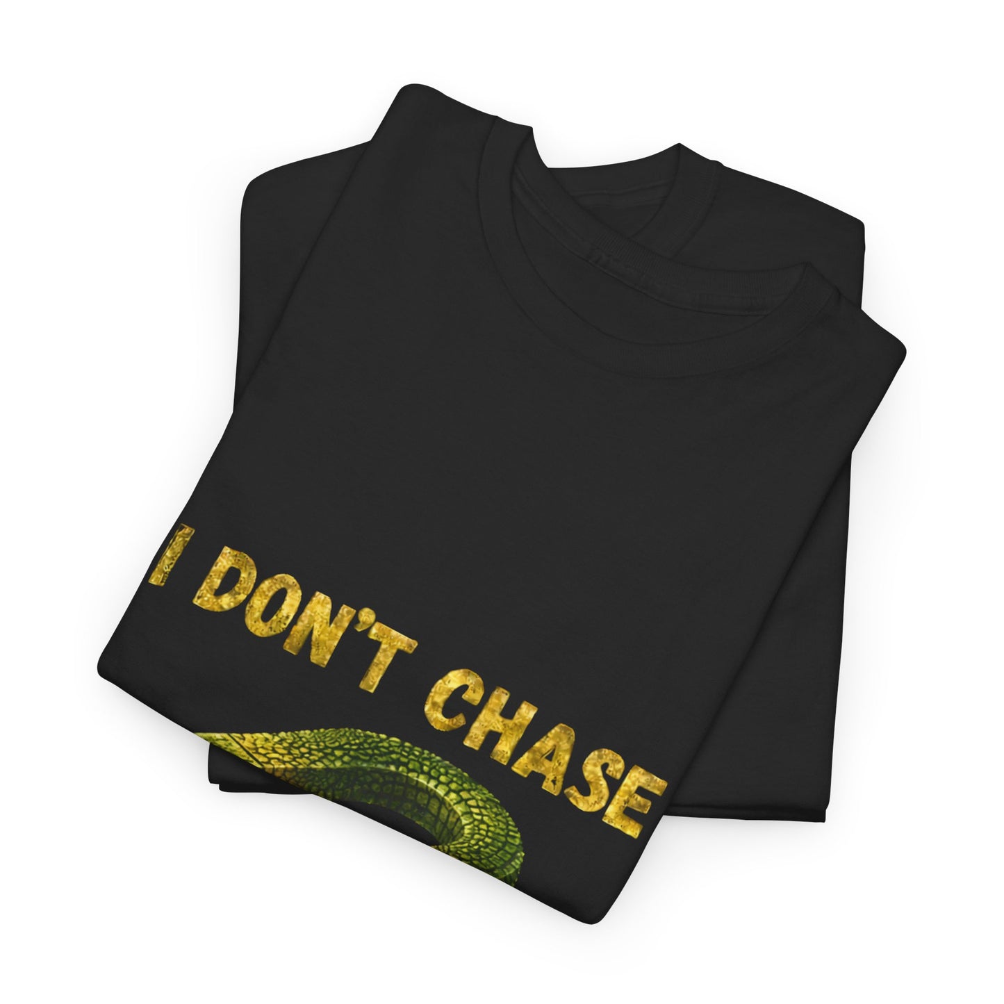 I Don’t Chase I Attract T-Shirt — Law of Attraction Graphic Tee